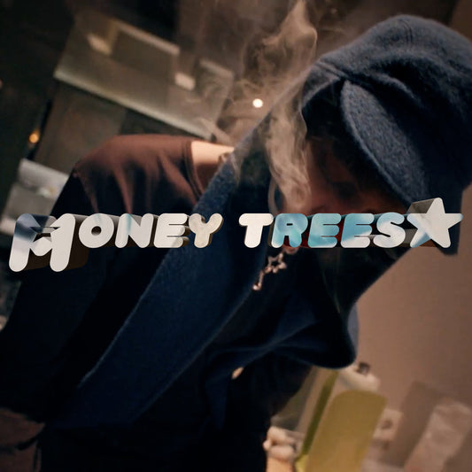 MONEY TREES